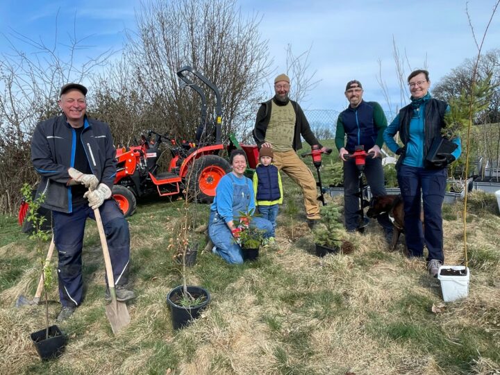 Aufgeforstet: Ein Wald statt Weihnachtsbäume in Wipperfürth