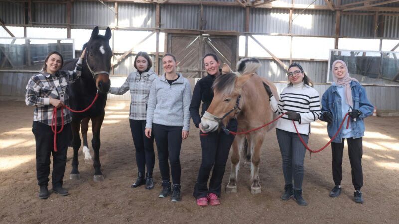 Integrationshelfer mit vier Hufen: Pferde-Projekt in Waldbröl soll Selbstwertgefühl stärken