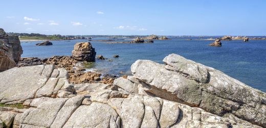 Frankreich: Archäologen entdecken rund 7000 Jahre alte Mauer im Atlantik