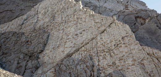 Dinosaurier in Italien: Zufallsfund von Fußabdrücken mit Zehen und Krallen